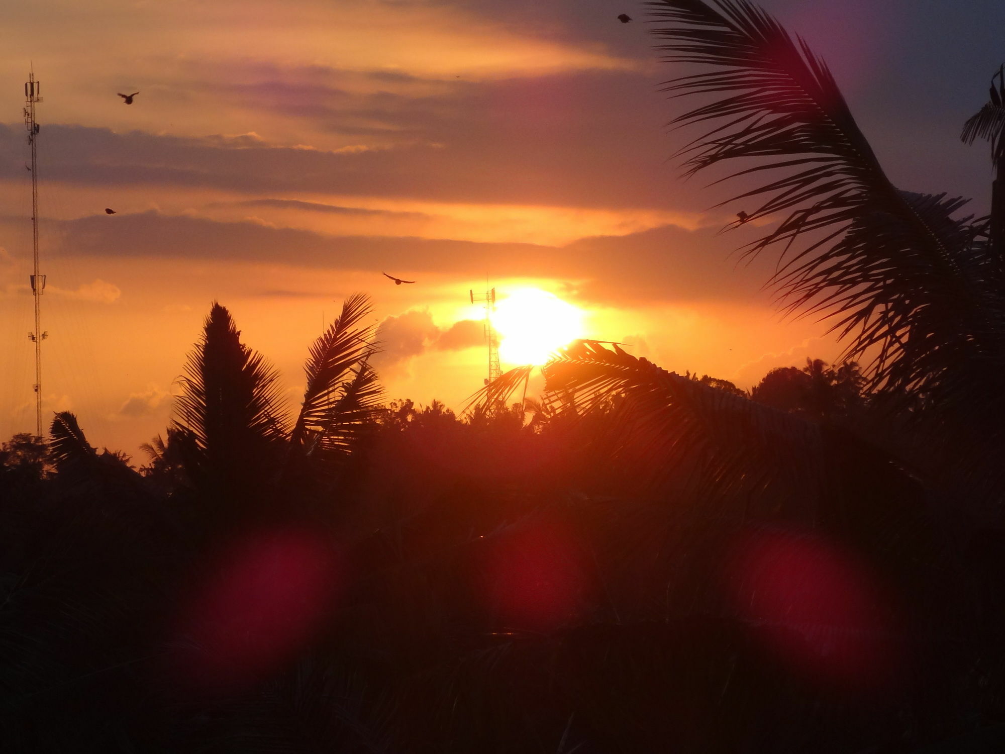 Hibiscus Cottages Ubud Buitenkant foto