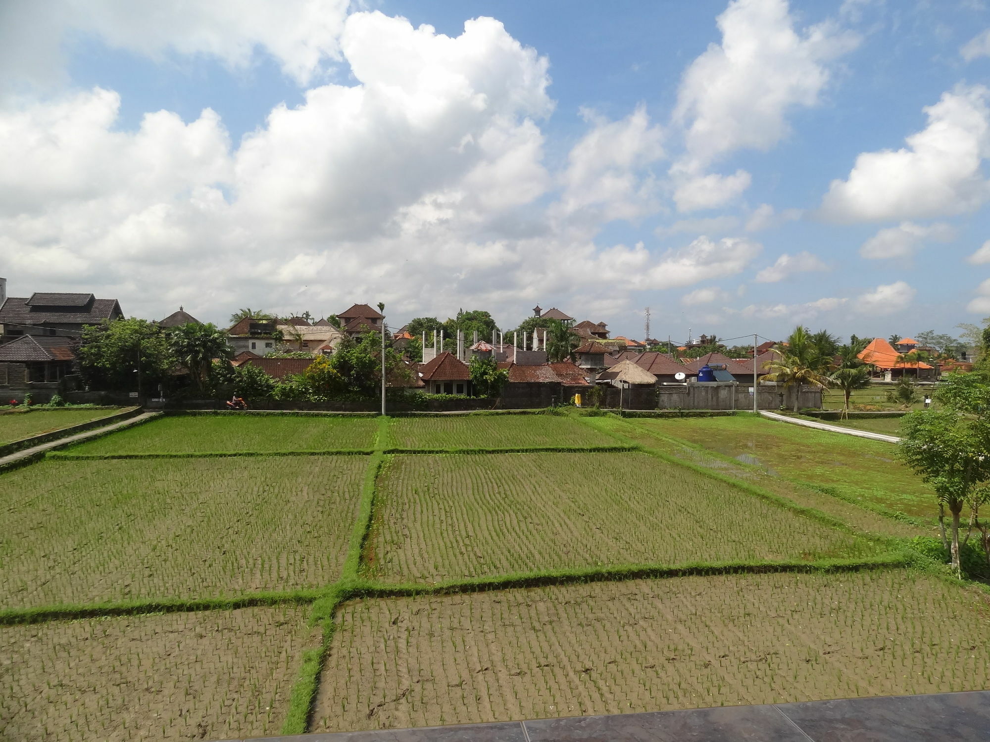 Hibiscus Cottages Ubud Buitenkant foto