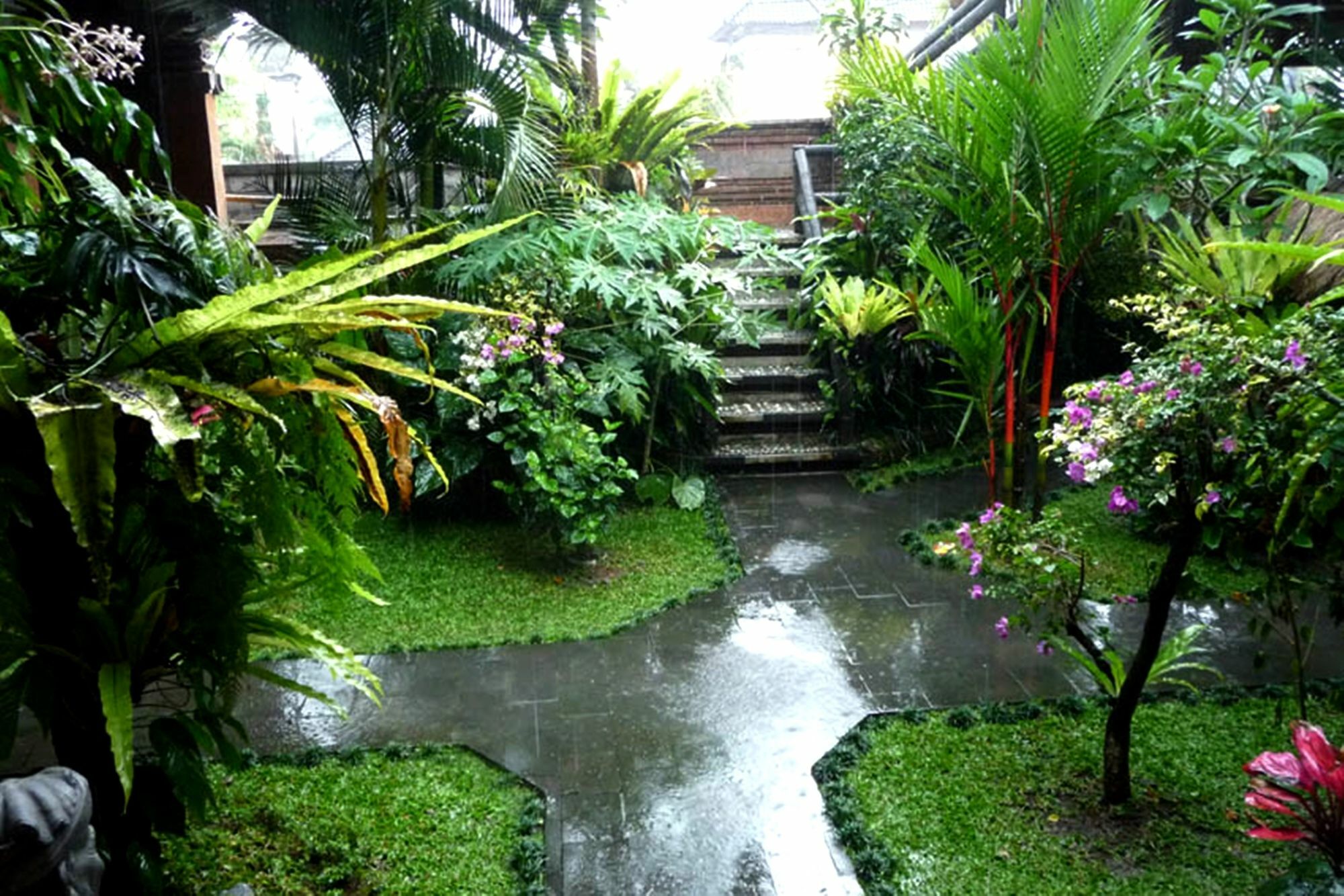 Hibiscus Cottages Ubud Buitenkant foto