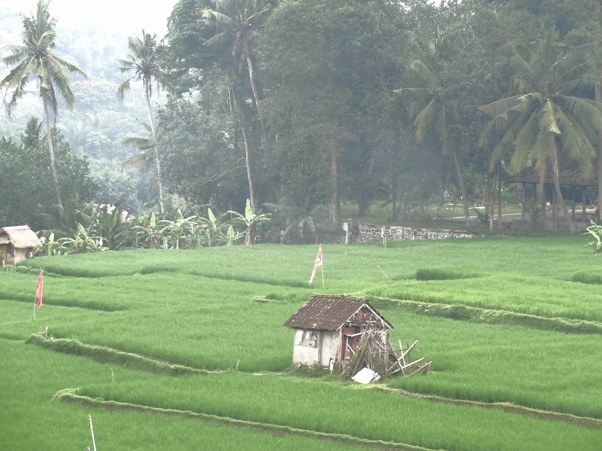 Hibiscus Cottages Ubud Buitenkant foto